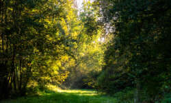 Wir starten ins Märzenbechertal Wir starten ins Märzenbechertal