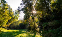 Was für ein Morgen! Was für ein Morgen!