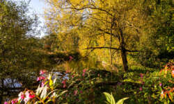 Ende des Pfades an der Donau Ende des Pfades an der Donau