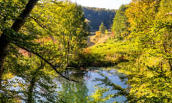 Herbstblicke Herbstblicke