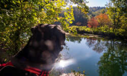 Maxi findest es toll Maxi findest es toll