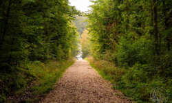 Weg zur Kapelle Weg zur Kapelle