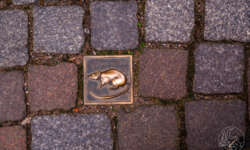 Im Zeichen der Sage Im Zeichen der Sage